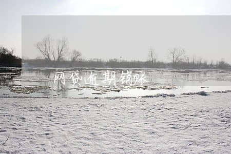 网贷逾期销账 网贷逾期销账