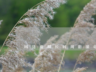 网贷逾期长时间拒接电话 网贷逾期长时间拒接电话