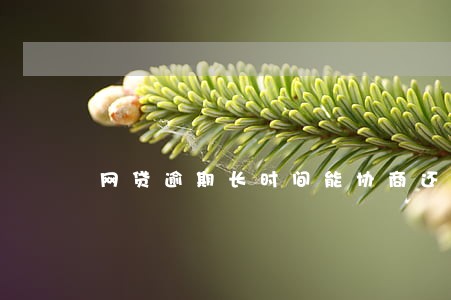 网贷逾期长时间能协商还款 网贷逾期长时间能协商还款
