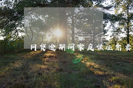 网贷逾期问家庭住址需要给吗