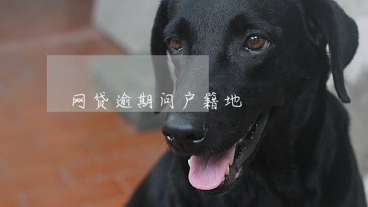 网贷逾期问户籍地 网贷逾期问户籍地