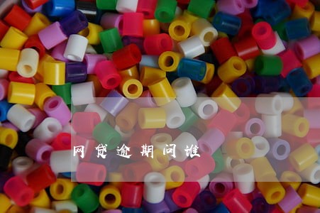 网贷逾期问谁 网贷逾期问谁