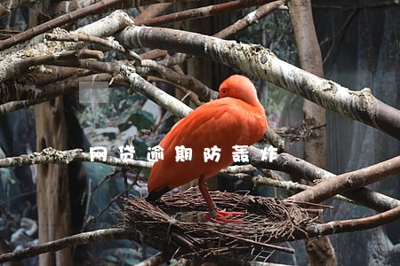 网贷逾期防轰炸 网贷逾期防轰炸