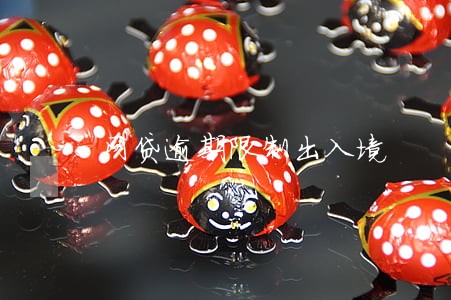 网贷逾期限制出入境