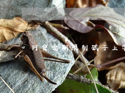 网贷逾期限制孩子上学吗 网贷逾期限制孩子上学吗