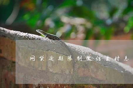 网贷逾期限制微信支付怎么办 网贷逾期限制微信支付怎么办