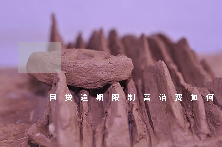 网贷逾期限制高消费如何还款 网贷逾期限制高消费如何还款