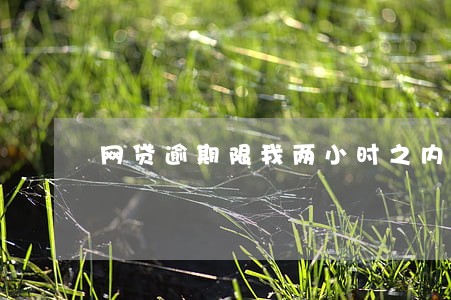 网贷逾期限我两小时之内还