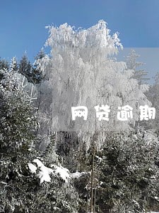 网贷逾期限行通告 网贷逾期限行通告