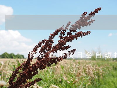 网贷逾期隔日会自动扣款吗 网贷逾期隔日会自动扣款吗