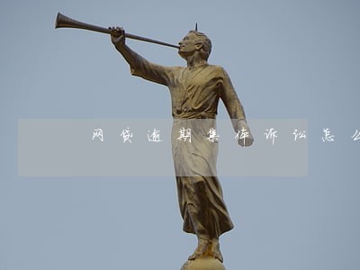 网贷逾期集体诉讼怎么办 网贷逾期集体诉讼怎么办
