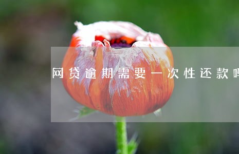 网贷逾期需要一次性还款吗 网贷逾期需要一次性还款吗