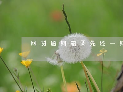 网贷逾期需要先还一期再协商 网贷逾期需要先还一期再协商