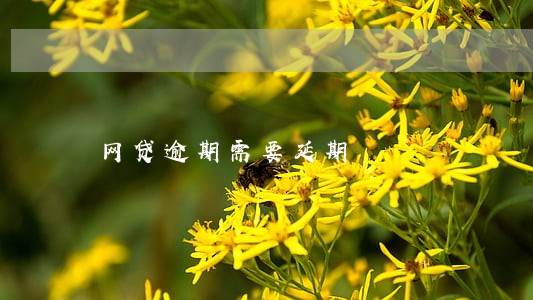 网贷逾期需要延期 网贷逾期需要延期