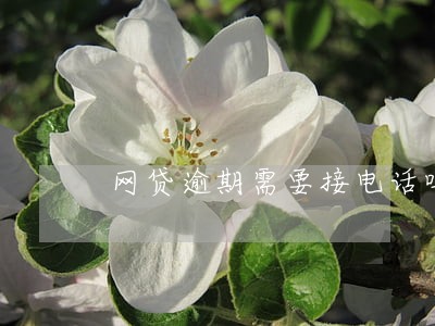 网贷逾期需要接电话吗 网贷逾期需要接电话吗