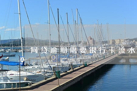 网贷逾期需要银行卡流水吗