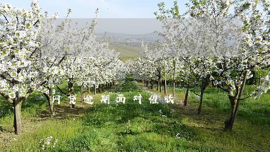 网贷逾期面对催收 网贷逾期面对催收
