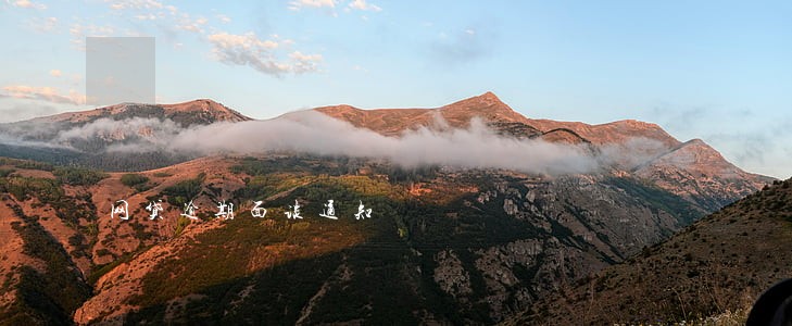 网贷逾期面谈通知