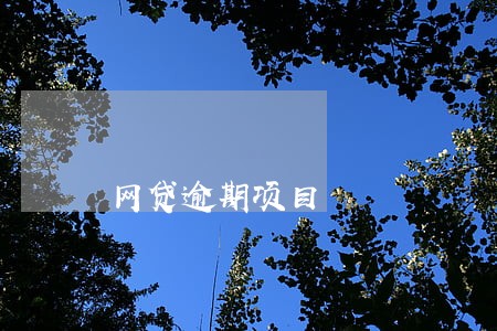网贷逾期项目 网贷逾期项目