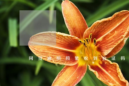 网贷逾期频繁收到验证码 网贷逾期频繁收到验证码