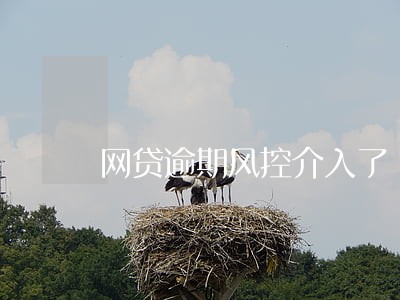 网贷逾期风控介入了 网贷逾期风控介入了