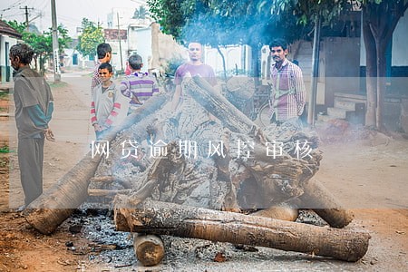 网贷逾期风控审核 网贷逾期风控审核