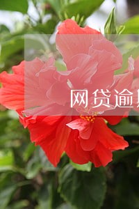 网贷逾期风险协商部门 网贷逾期风险协商部门