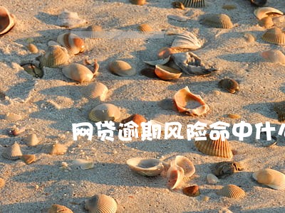 网贷逾期风险命中什么意思 网贷逾期风险命中什么意思