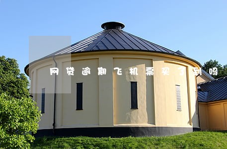 网贷逾期飞机票买了到吗 网贷逾期飞机票买了到吗