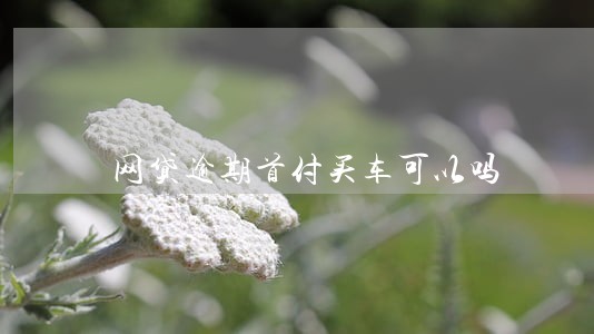 网贷逾期首付买车可以吗 网贷逾期首付买车可以吗