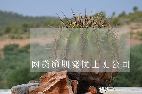 网贷逾期骚扰上班公司 网贷逾期骚扰上班公司