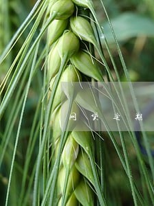 网贷逾期骚扰举报电话 网贷逾期骚扰举报电话