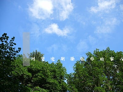网贷逾期骚扰你的家人朋友 网贷逾期骚扰你的家人朋友