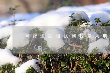 网贷逾期骚扰到我家人朋友 网贷逾期骚扰到我家人朋友