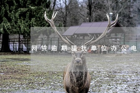 网贷逾期骚扰单位办公电话 网贷逾期骚扰单位办公电话