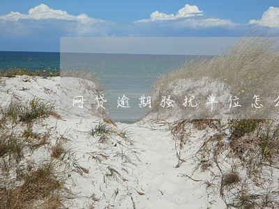网贷逾期骚扰单位怎么举报 网贷逾期骚扰单位怎么举报