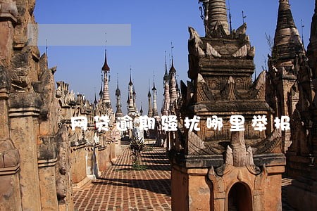 网贷逾期骚扰哪里举报 网贷逾期骚扰哪里举报
