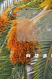 网贷逾期骚扰家人打什么电话 网贷逾期骚扰家人打什么电话
