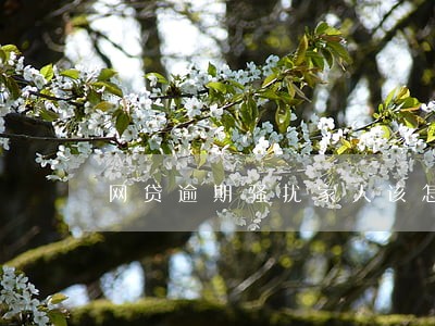 网贷逾期骚扰家人该怎么报警 网贷逾期骚扰家人该怎么报警