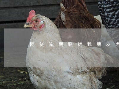 网贷逾期骚扰我朋友怎么办 网贷逾期骚扰我朋友怎么办