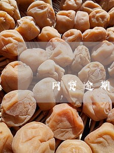 网贷逾期骚扰父母可以举报吗 网贷逾期骚扰父母可以举报吗