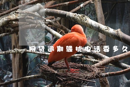 网贷逾期骚扰电话要多久 网贷逾期骚扰电话要多久