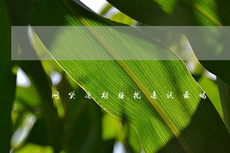 网贷逾期骚扰通讯录吗 网贷逾期骚扰通讯录吗