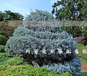 网贷逾期骚扰通讯录怎么处理 网贷逾期骚扰通讯录怎么处理