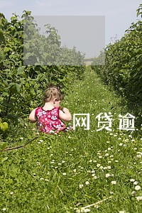 网贷逾期高于多少钱才能起诉 网贷逾期高于多少钱才能起诉