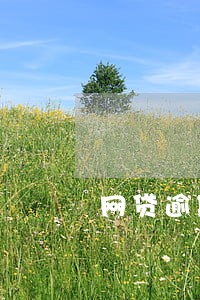 网贷逾期高利息违法嘛 网贷逾期高利息违法嘛