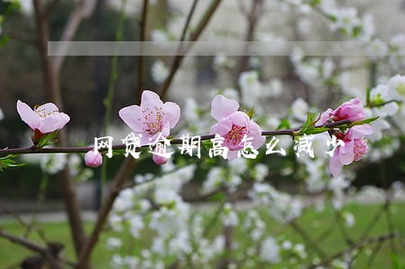 网贷逾期高怎么减少 网贷逾期高怎么减少