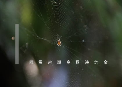 网贷逾期高昂违约金