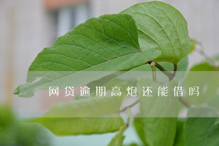 网贷逾期高炮还能借吗