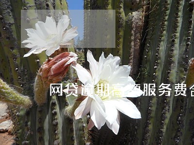 网贷逾期高额服务费合理吗 网贷逾期高额服务费合理吗